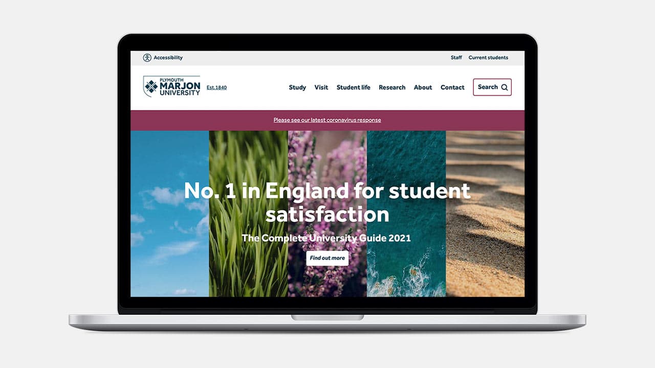 Accessibility web designer
